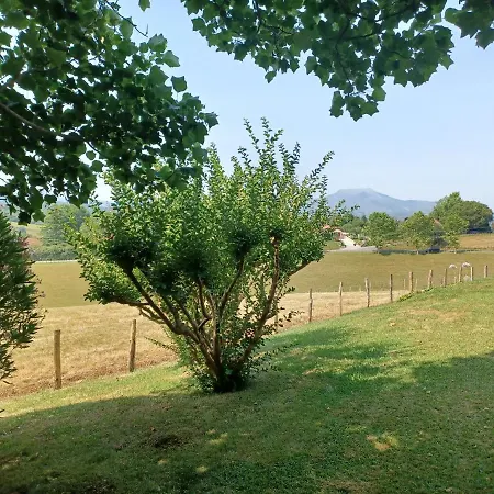 Monic Apartament