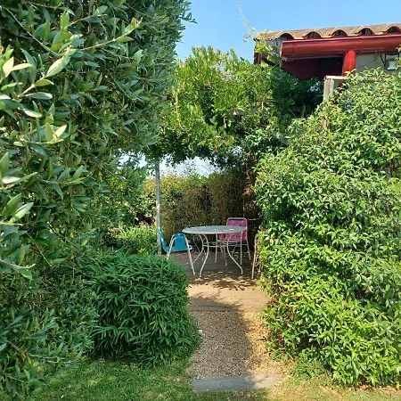 Monic Apartament