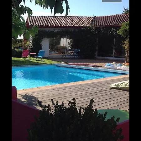 Monic Apartament Souraïde